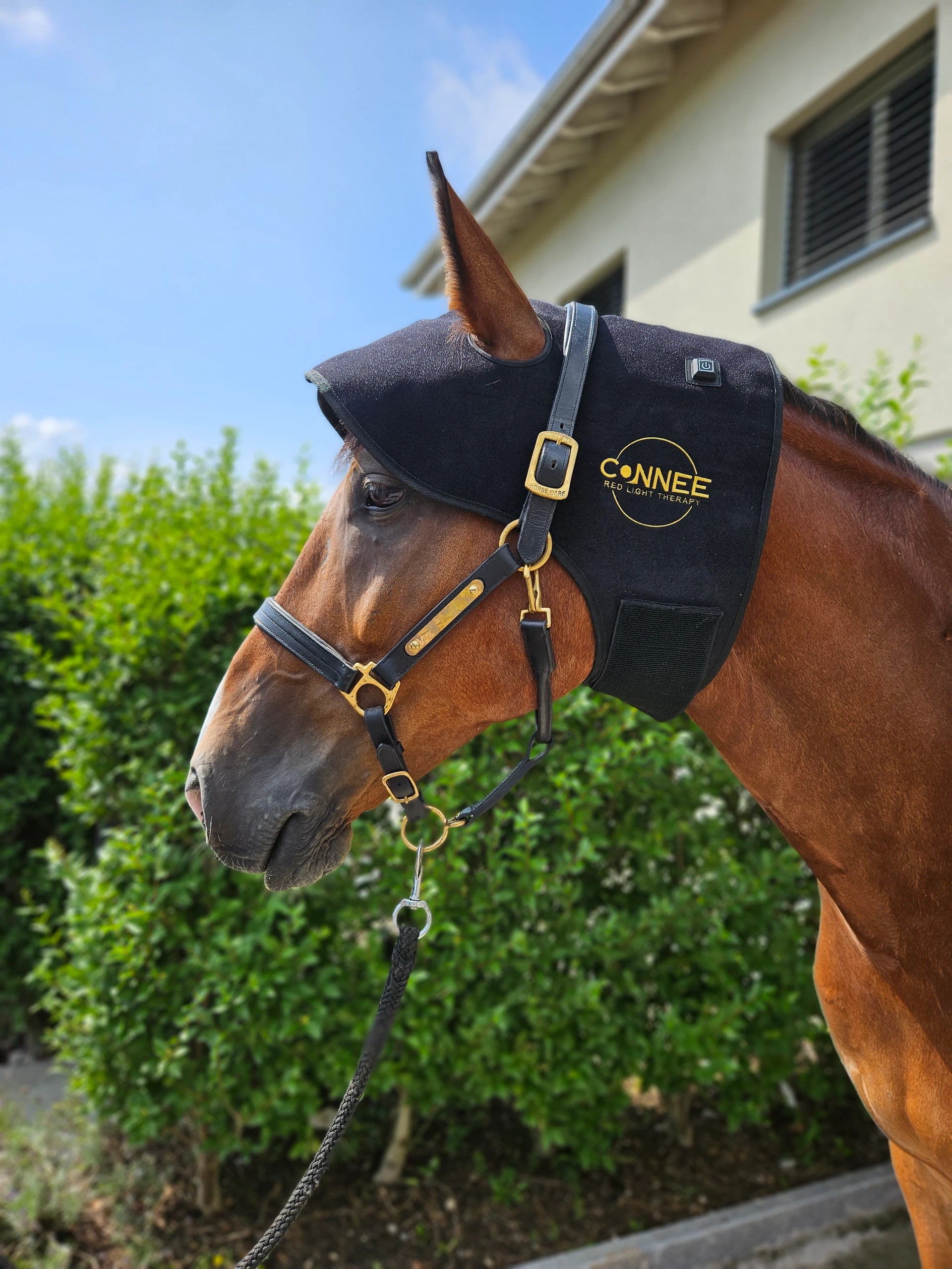 Kopfhaube - Connee-Therapy