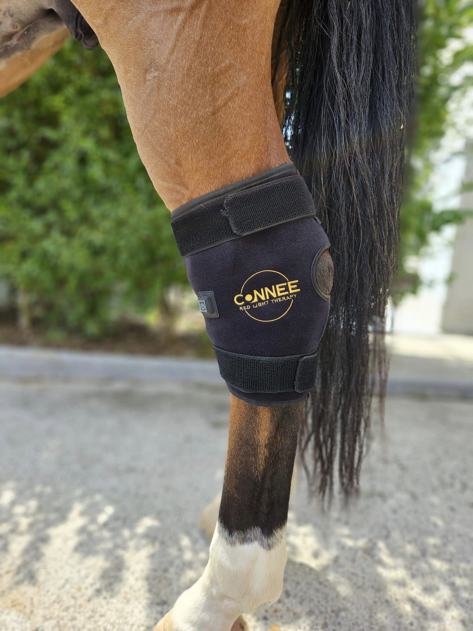 Sprunggelenkgamaschen, paar - Connee-Therapy