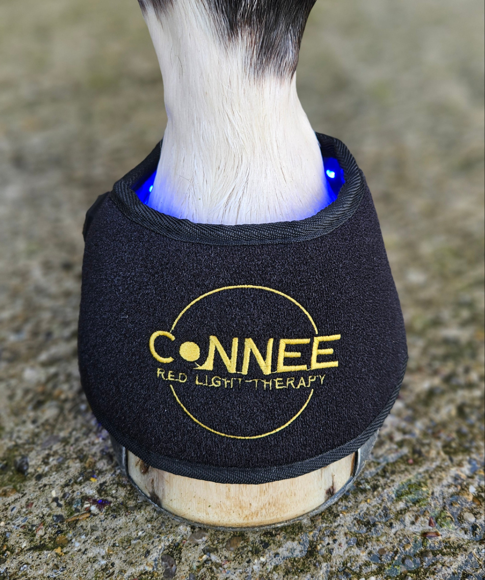 Hufglocken - Connee-Therapy