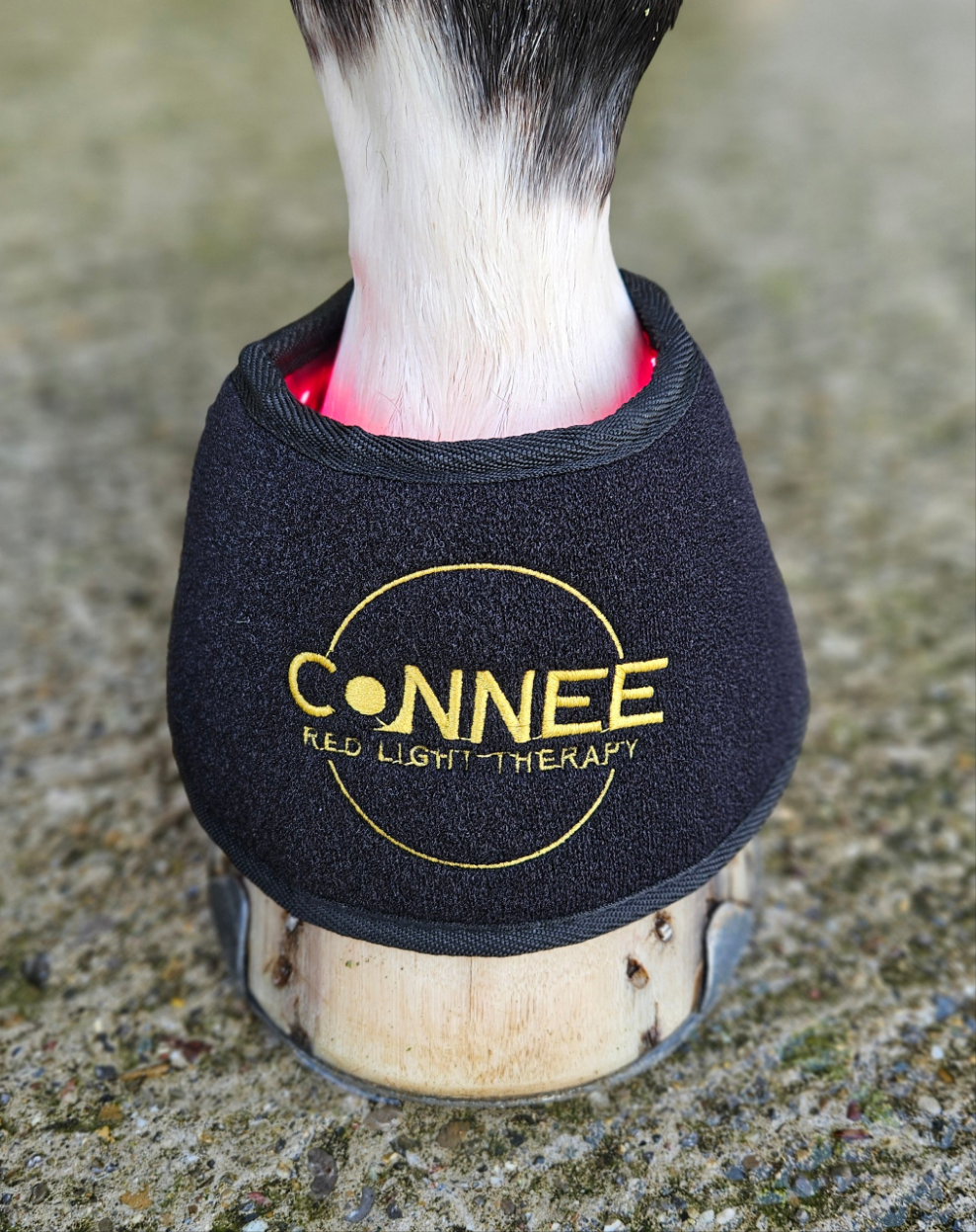 Hufglocken - Connee-Therapy