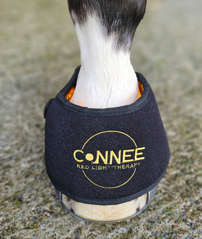 Hufglocken - Connee-Therapy