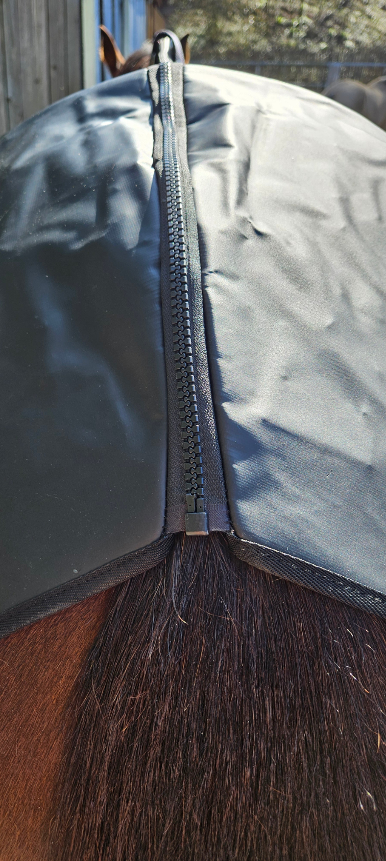 Decke - Connee-Therapy