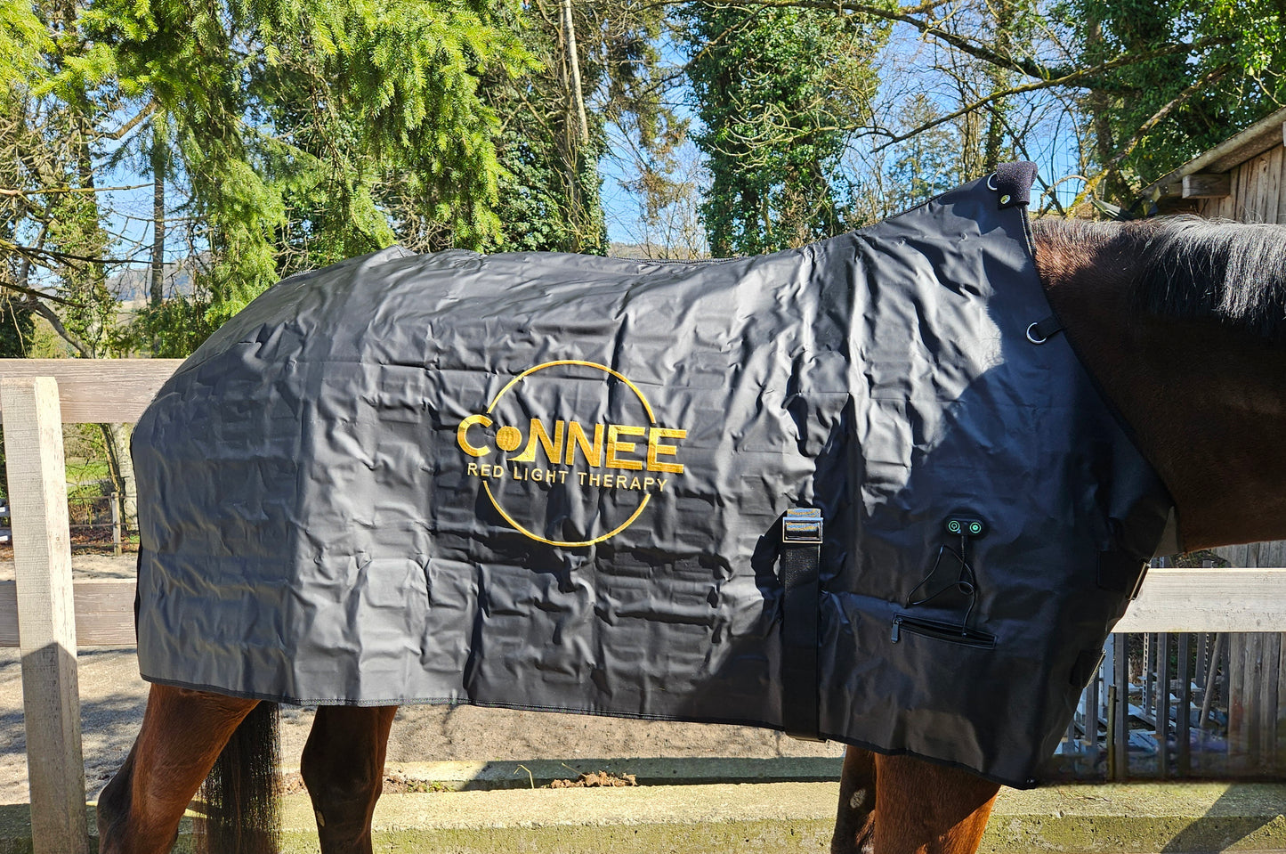 Decke - Connee-Therapy