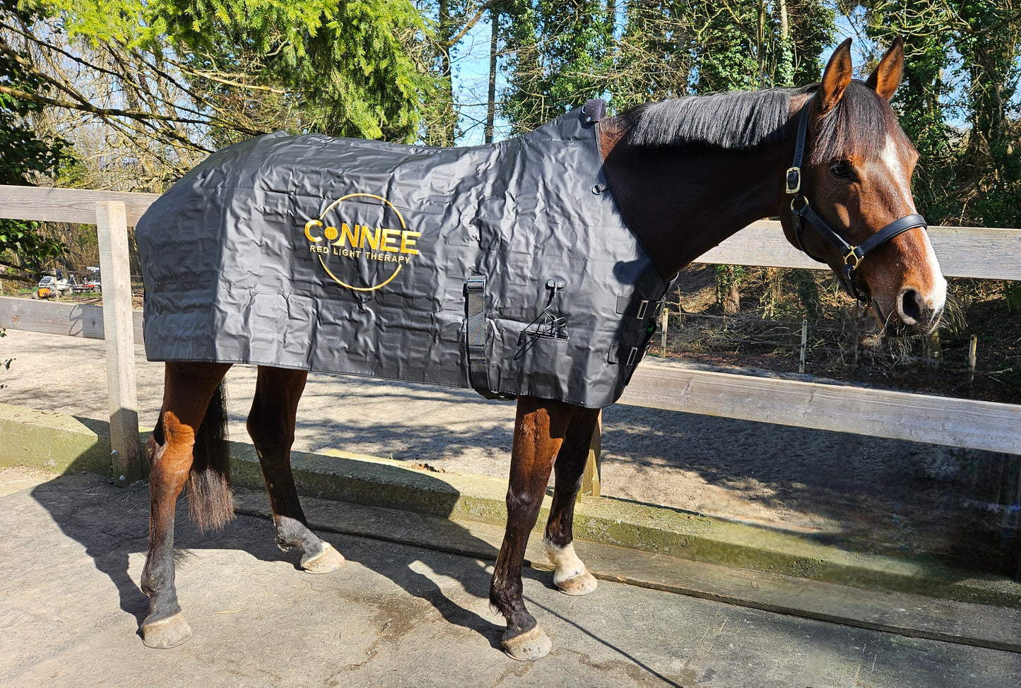 Decke - Connee-Therapy