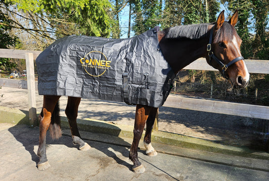 Decke - Connee-Therapy