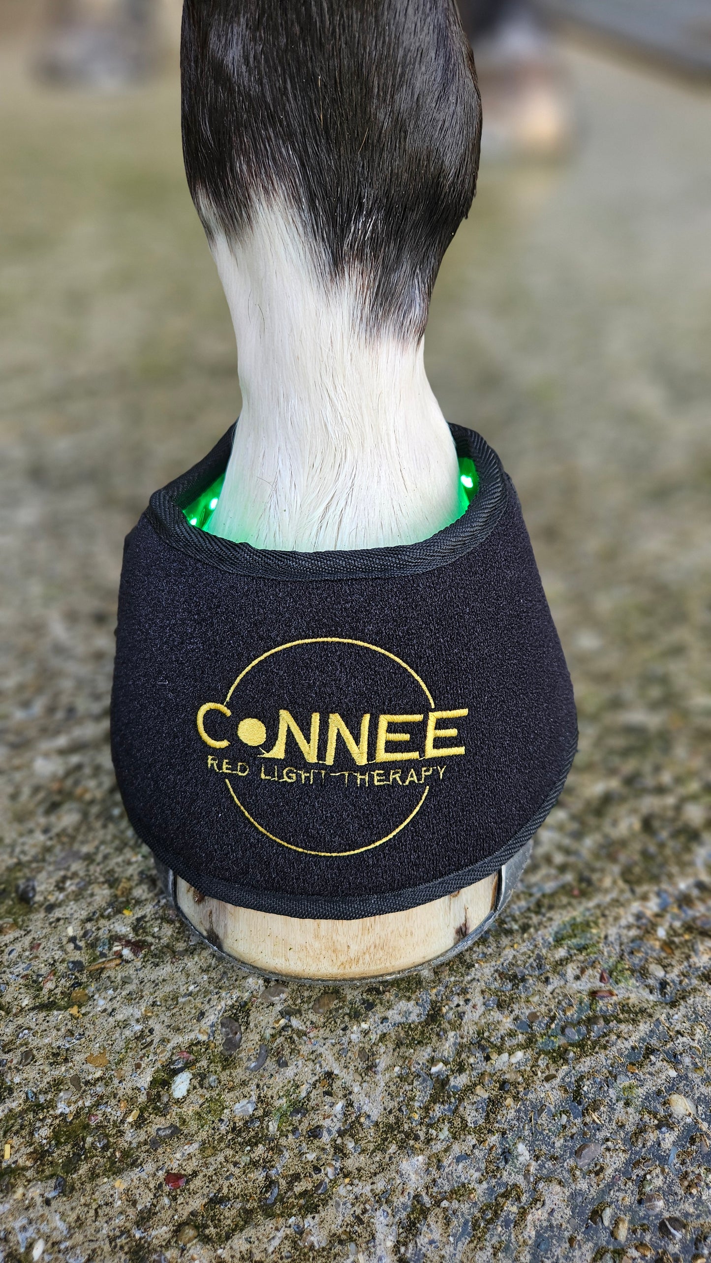 Hufglocken - Connee-Therapy