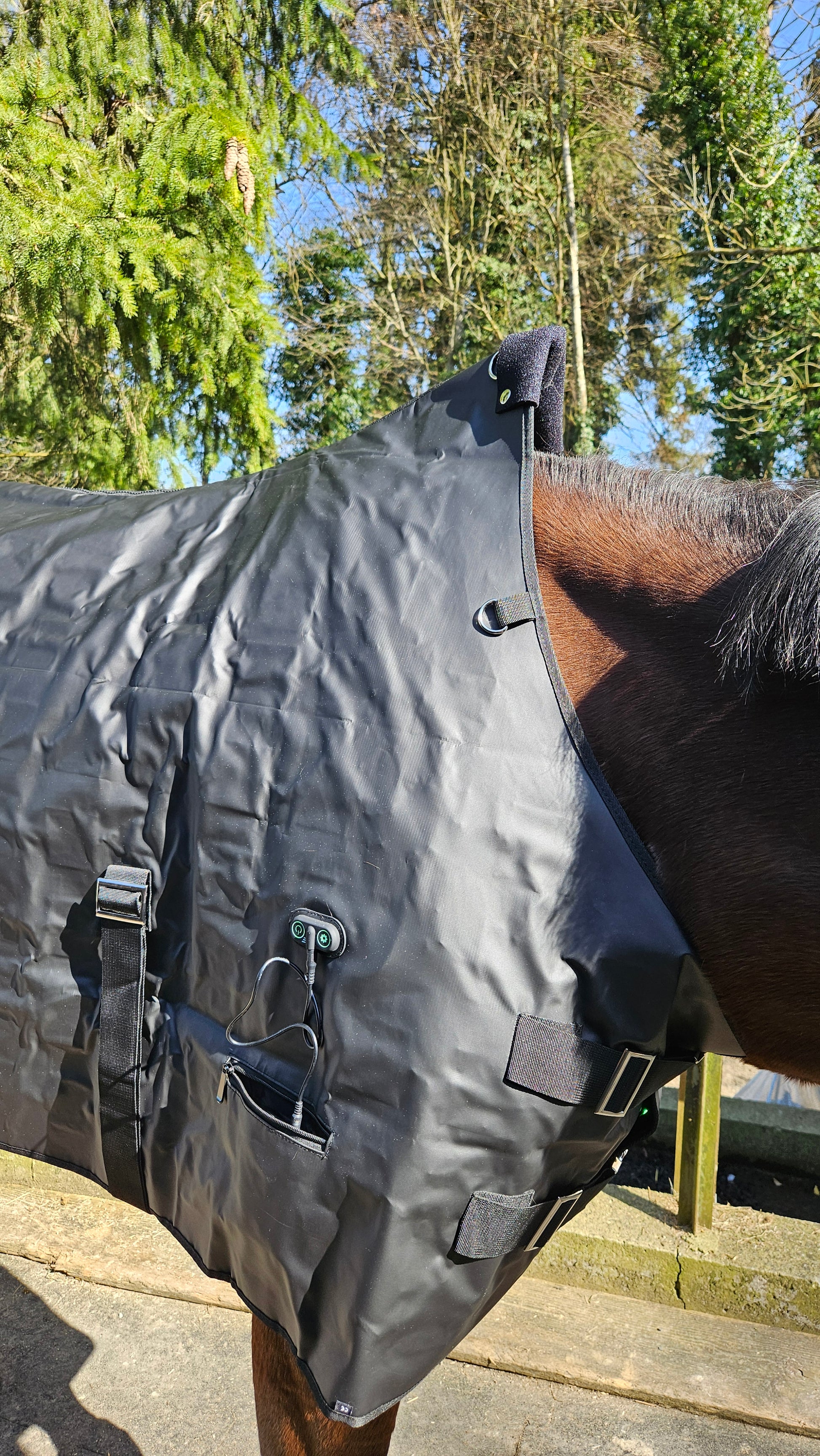 Decke - Connee-Therapy